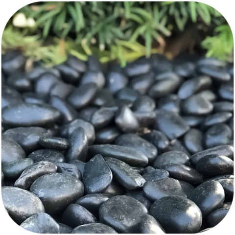 Eco Plant Devil Stones 1kg - kamienie czarne otoczak 20-50mm Eco Plant Eco Plant Devil Stones 1kg - kamienie czarne otoczak 20-50mm Eco Plant