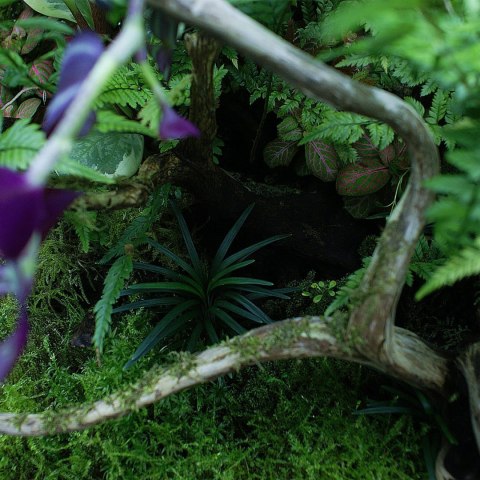 YOKUCHI HAISUI BASE 0,5L - podłoże drenażowe do terrarium YOKUCHI YOKUCHI HAISUI BASE 0,5L - podłoże drenażowe do terrarium YOKUCHI