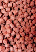 Ocean Nutrition Formula One Pellets S 100g (drobny pokarm granulowany) Ocean Nutrition