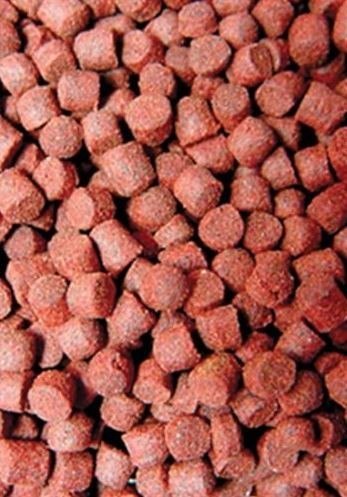 Ocean Nutrition Formula One Pellets S 100g (drobny pokarm granulowany) Ocean Nutrition Ocean Nutrition Formula One Pellets S 100g (drobny pokarm granulowany) Ocean Nutrition