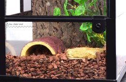 Repti-Zoo Terrarium RK NET 30x30x45cm Repti-Zoo