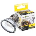 Repti-Zoo Mini LED 5W - oświetlenie LED terrarium Repti-Zoo