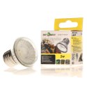 Repti-Zoo Mini LED 5W - oświetlenie LED terrarium Repti-Zoo
