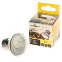 Repti-Zoo Mini LED 5W - oświetlenie LED terrarium Repti-Zoo
