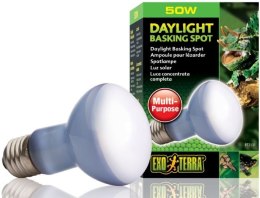 EXO TERRA Daylight 50W (żarówka neodymowa) Exo terra