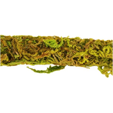 Repti-Zoo Liana z naturalnym mchem 1cm x 2m Repti-Zoo Repti-Zoo Liana z naturalnym mchem 1cm x 2m Repti-Zoo