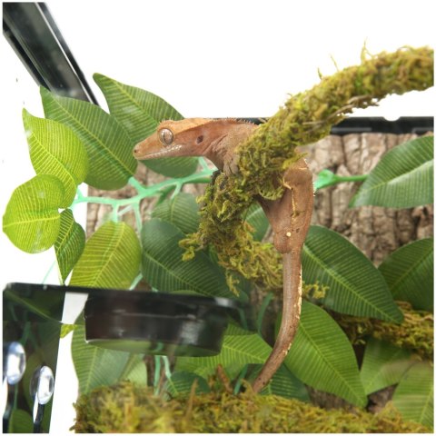Repti-Zoo Liana z naturalnym mchem 1cm x 2m Repti-Zoo Repti-Zoo Liana z naturalnym mchem 1cm x 2m Repti-Zoo