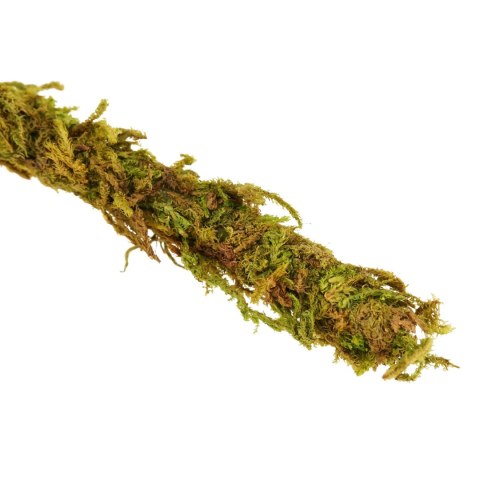 Repti-Zoo Liana z naturalnym mchem 2cm x 2m Repti-Zoo Repti-Zoo Liana z naturalnym mchem 2cm x 2m Repti-Zoo