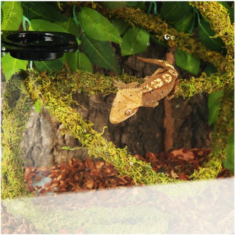 Repti-Zoo Liana z naturalnym mchem 2cm x 2m Repti-Zoo Repti-Zoo Liana z naturalnym mchem 2cm x 2m Repti-Zoo