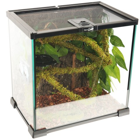 Repti-Zoo Liana z naturalnym mchem 2cm x 2m Repti-Zoo Repti-Zoo Liana z naturalnym mchem 2cm x 2m Repti-Zoo