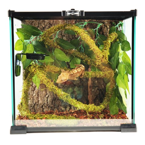 Repti-Zoo Liana z naturalnym mchem 2cm x 2m Repti-Zoo Repti-Zoo Liana z naturalnym mchem 2cm x 2m Repti-Zoo