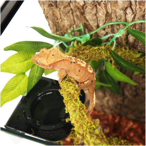 Repti-Zoo Liana z naturalnym mchem 2cm x 2m Repti-Zoo Repti-Zoo Liana z naturalnym mchem 2cm x 2m Repti-Zoo