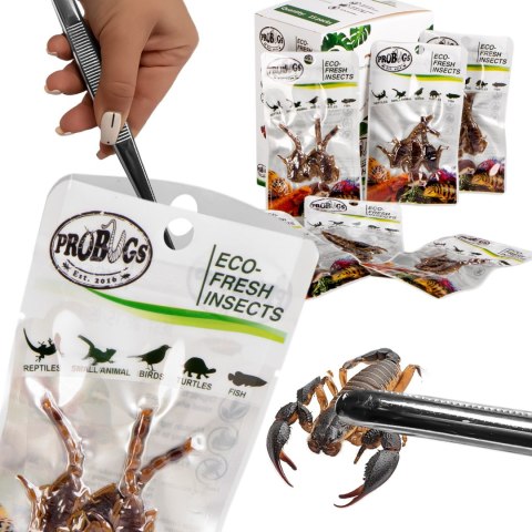 Probugs Big Reptiles Set - zestaw robaków dla dużych gadów ProBugs Probugs Big Reptiles Set - zestaw robaków dla dużych gadów ProBugs