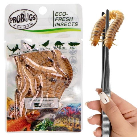 Probugs Big Reptiles Set - zestaw robaków dla dużych gadów ProBugs Probugs Big Reptiles Set - zestaw robaków dla dużych gadów ProBugs