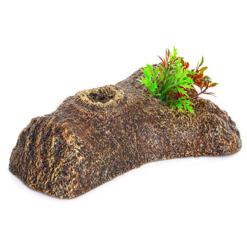 Repti-Zoo Turtle Floating Bark S - wyspa pływająca dla żółwi Repti-Zoo Repti-Zoo Turtle Floating Bark S - wyspa pływająca dla żółwi Repti-Zoo