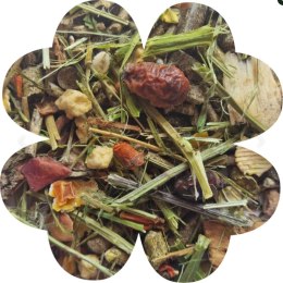 Alegia Enjoy pokarm dla szynszyla 800g Alegia