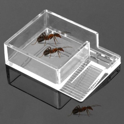 Ant Expert Ant Feeder - karmnik dla mrówek Ant Expert Ant Expert Ant Feeder - karmnik dla mrówek Ant Expert
