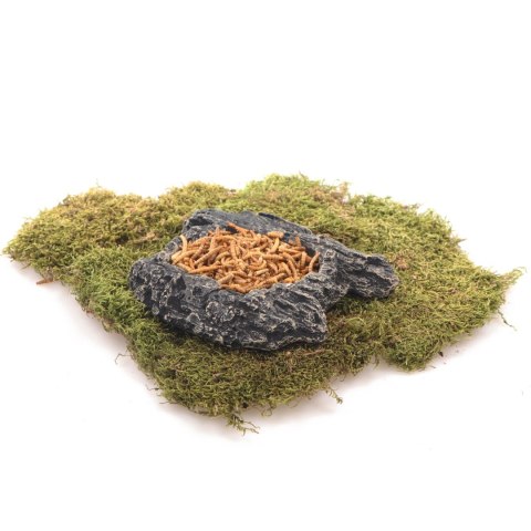 Komodo Bark Bowl S - miska w korze Komodo Komodo Bark Bowl S - miska w korze Komodo