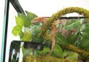Repti-Zoo miseczka wieszana podwójna Repti-Zoo