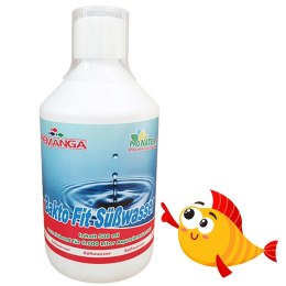 Femanga Bakto Fit 250ml Femanga